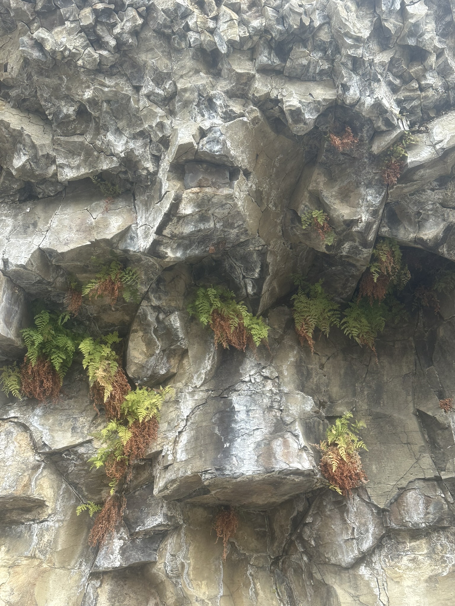 Yellowstone And Grand Teton National Parks - Image 879